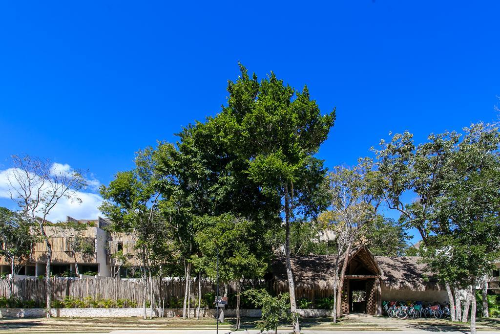 Eco-Chic Design Condos Wrapped In Nature'S Elements By Stella Rentals Τουλούμ Εξωτερικό φωτογραφία